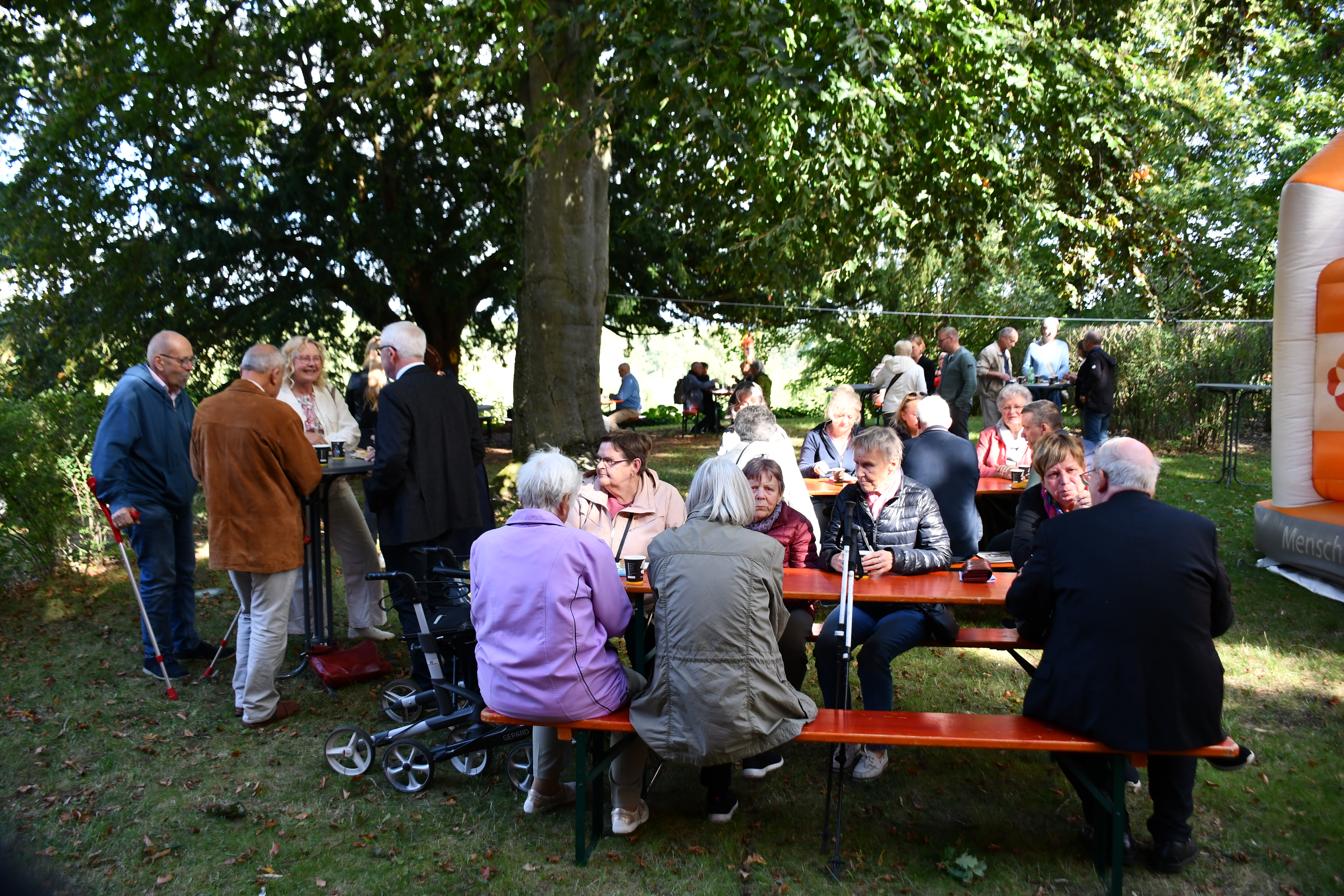 DSC_2911 DSC_2911