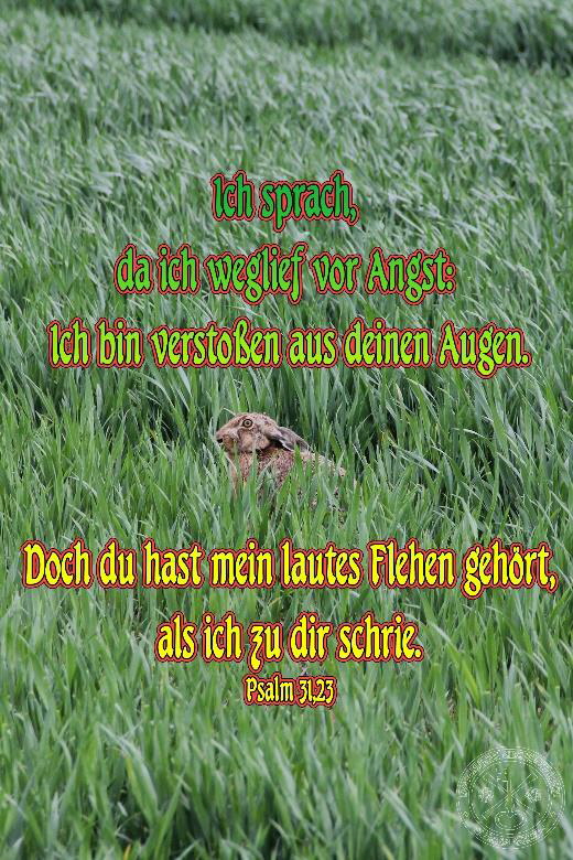bild_20_11_05